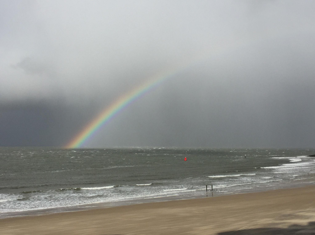Strandappartementen De Gulden Stroom主图