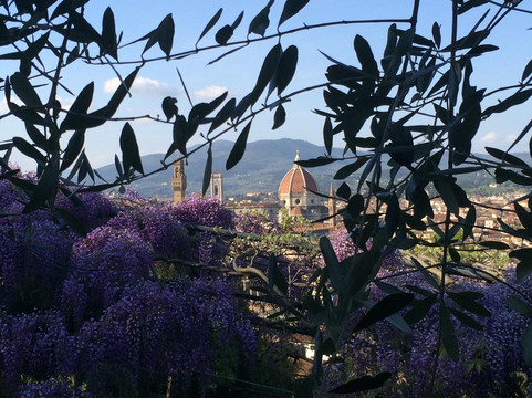 I Like Florence-佛罗伦萨必去景点