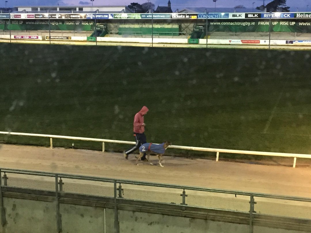 Galway Greyhound Stadium-戈尔韦必去景点