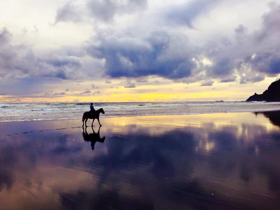 Wildcoast Ruapuke Horse Riding景点图片