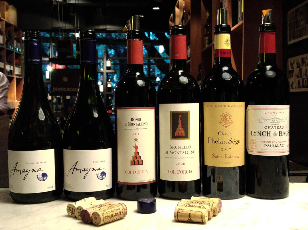 Vinoteca SOIL-布宜诺斯艾利斯必去景点