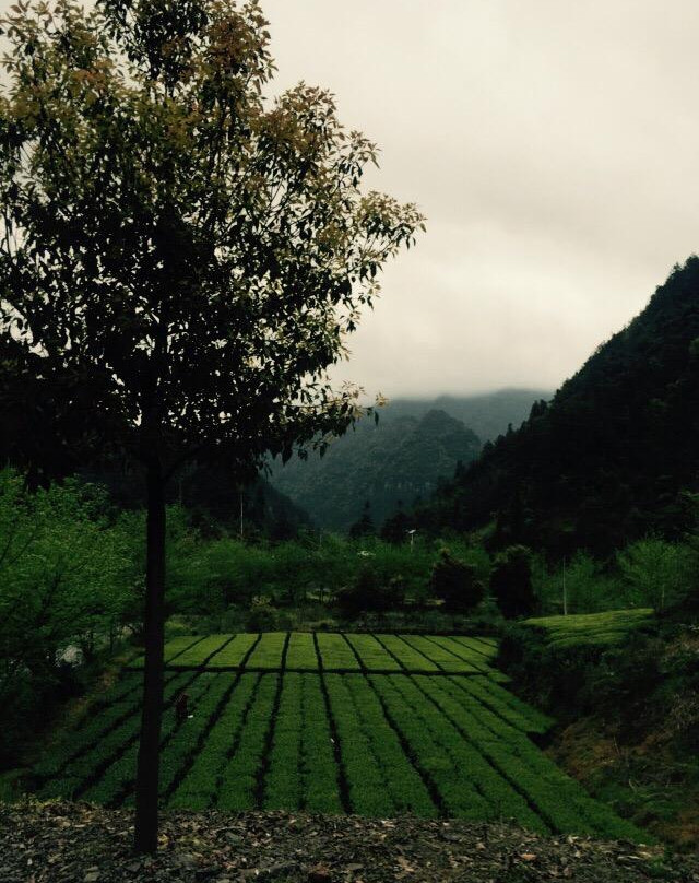 黄金洞-咸丰县必去景点