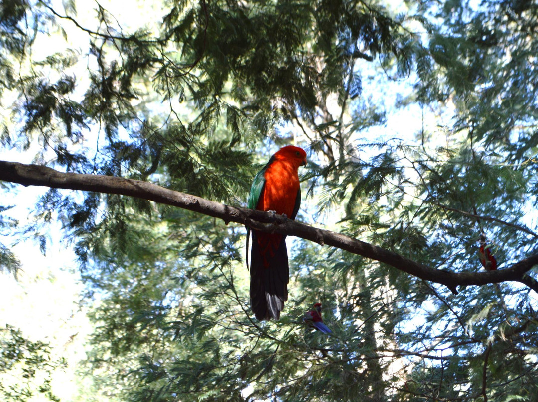 Grants on Sherbrooke-Kallista必去景点