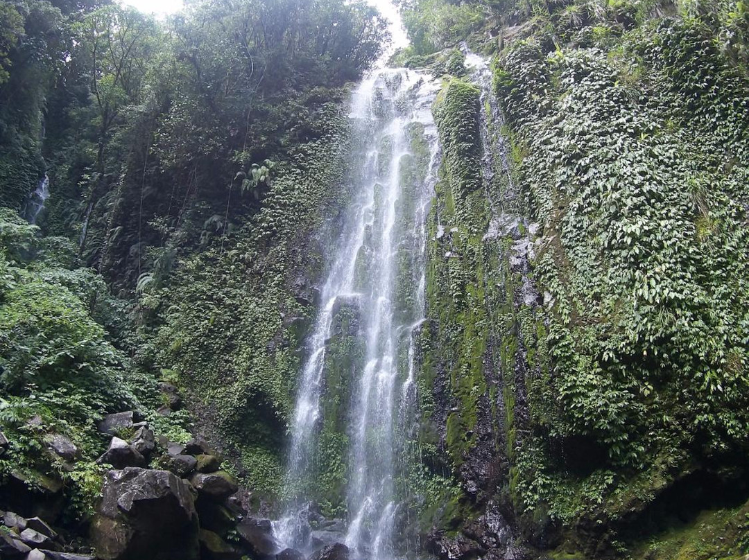 Binangawan Falls景点图片
