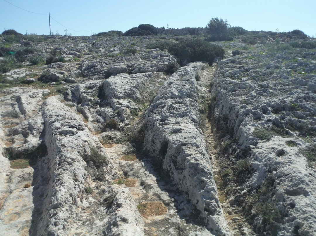 Dingli Cart Ruts (Clapham Junction) and Caves景点图片