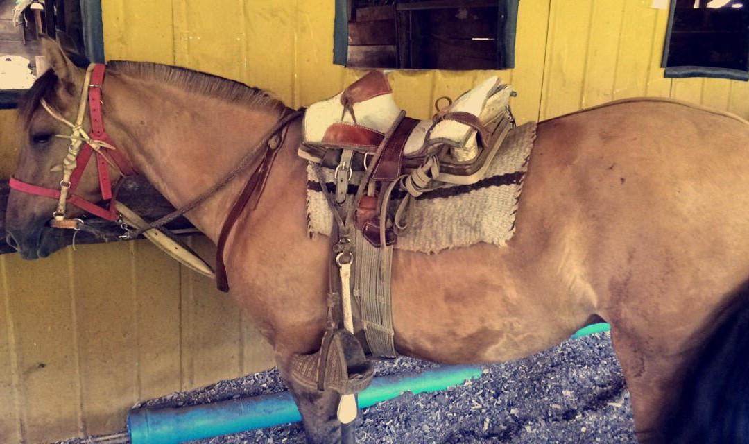 Huepil Malal-普孔必去景点