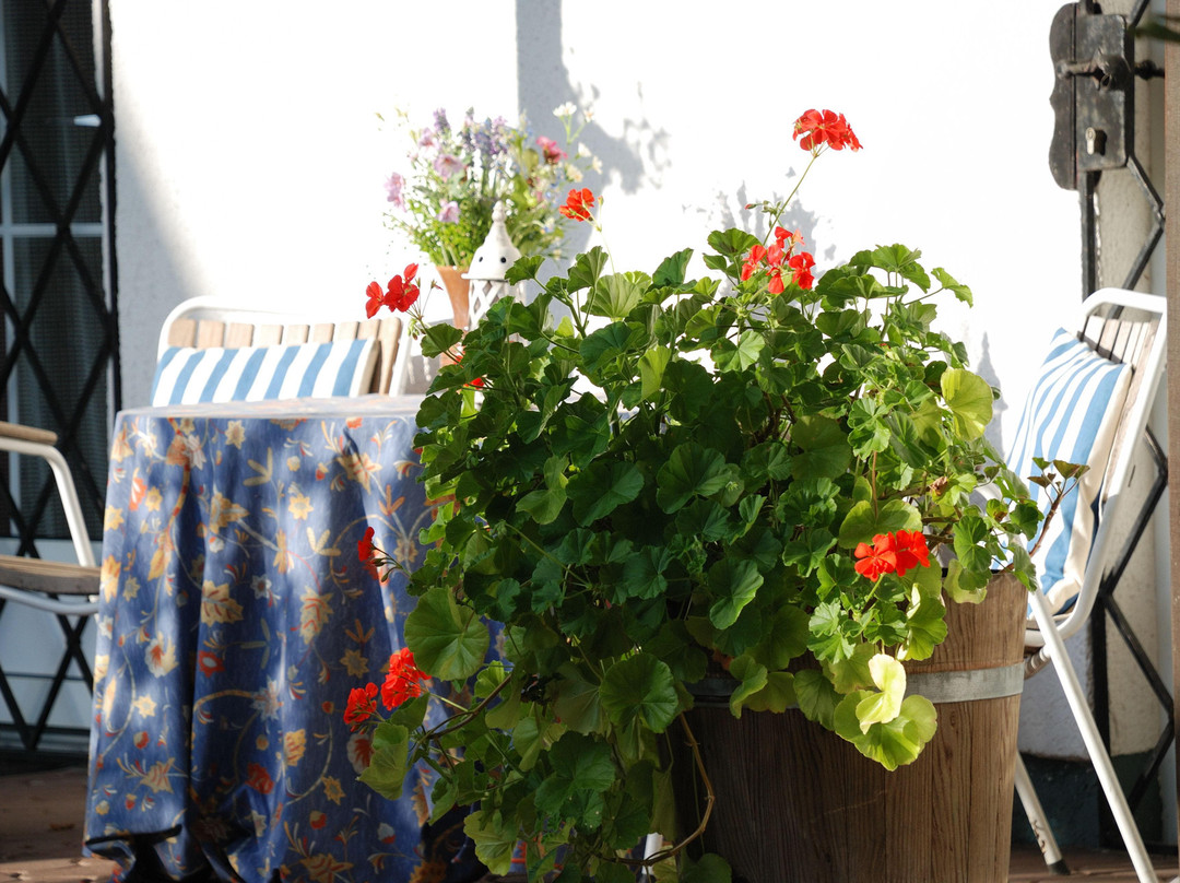 Appartements im Park主图