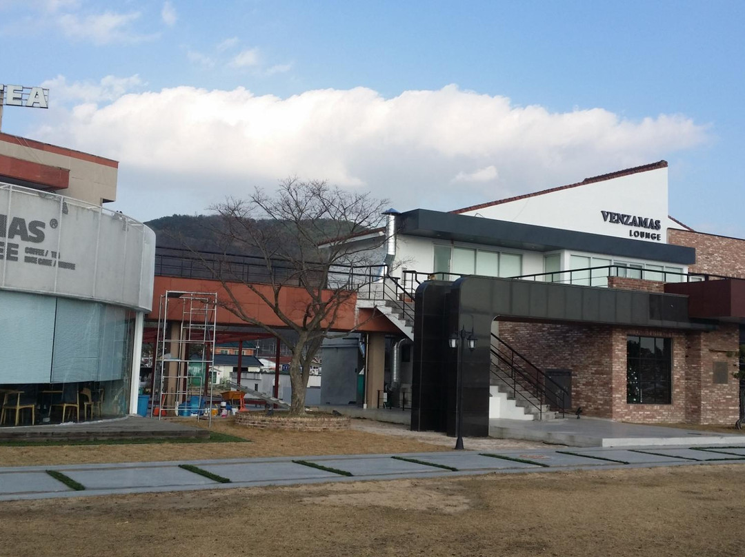 벤자마스