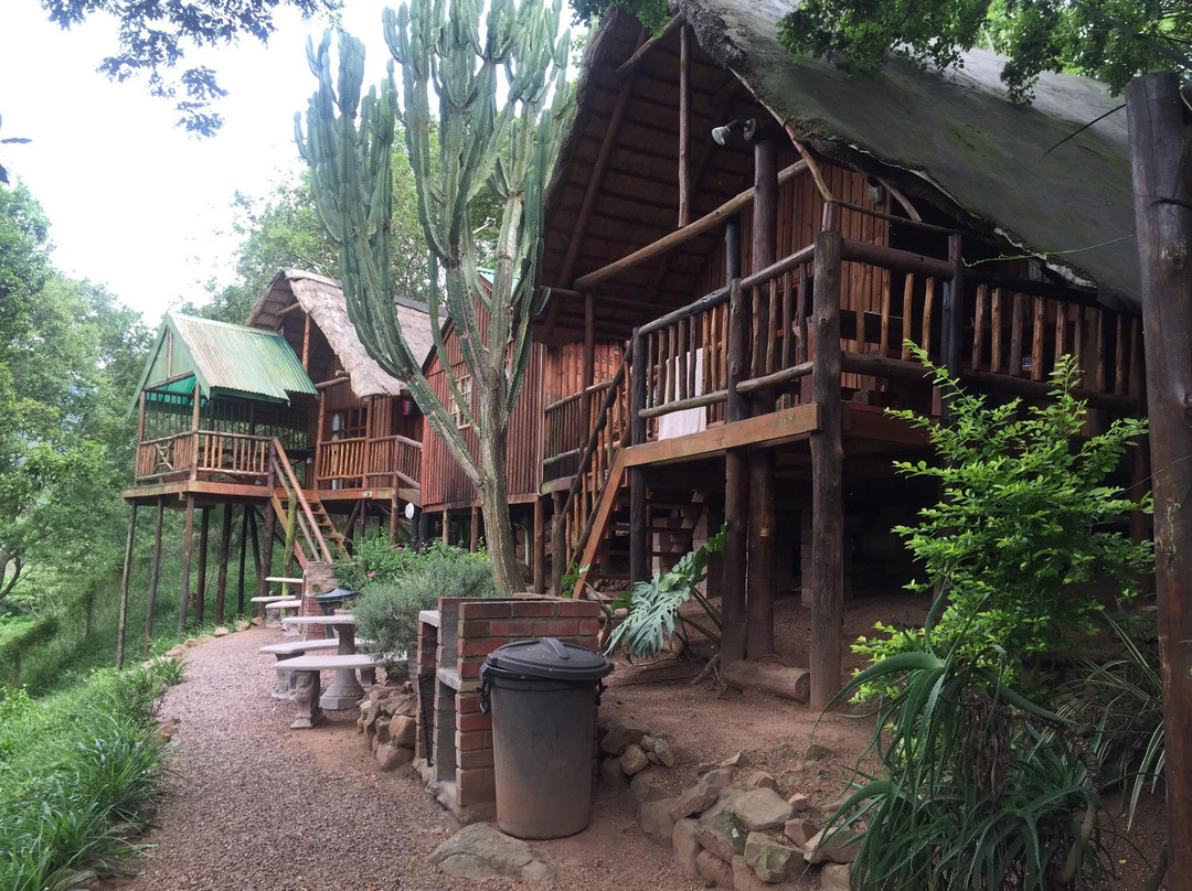 Treehouse River Lodge Spa景点图片