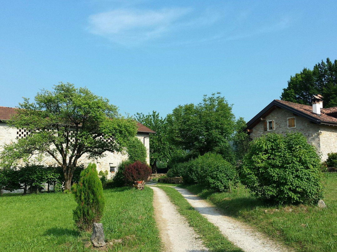 Agriturismo Casteldardo主图