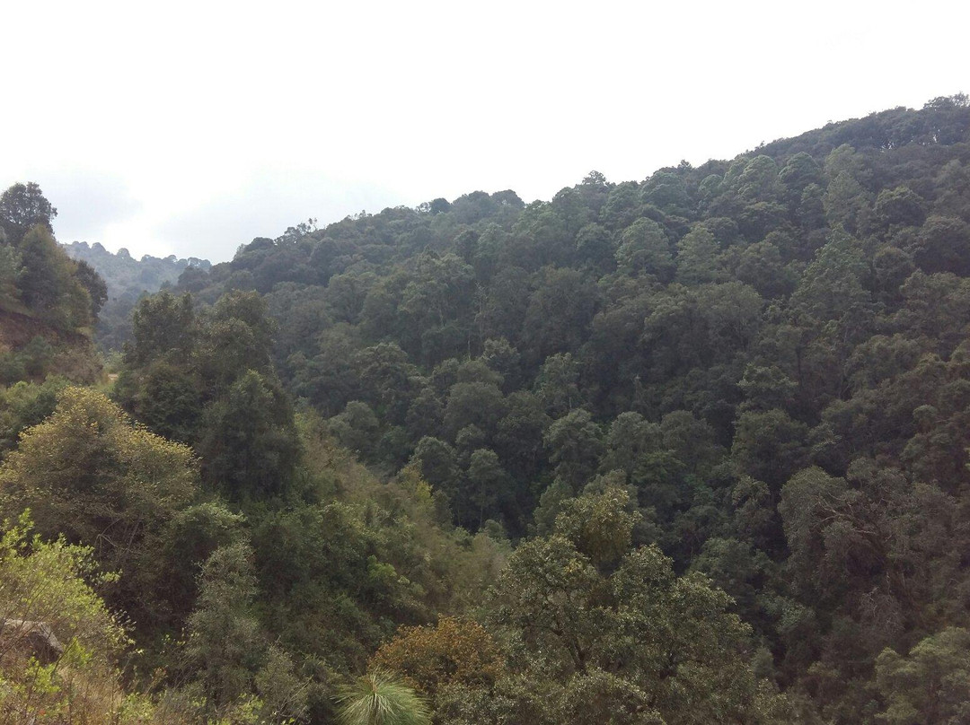 Sierra Tour Mazamitla Adventure-Mazamitla必去景点