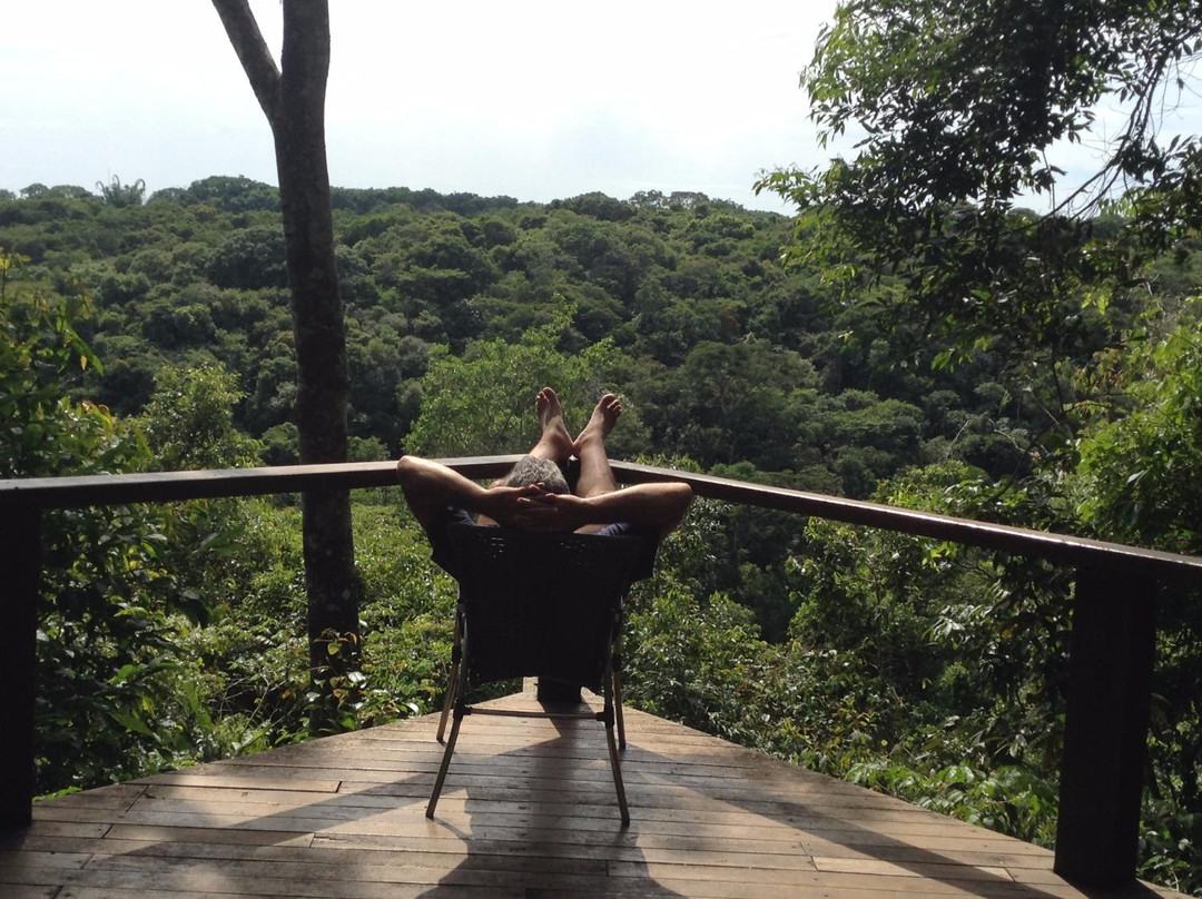 Cantos da Mata主图