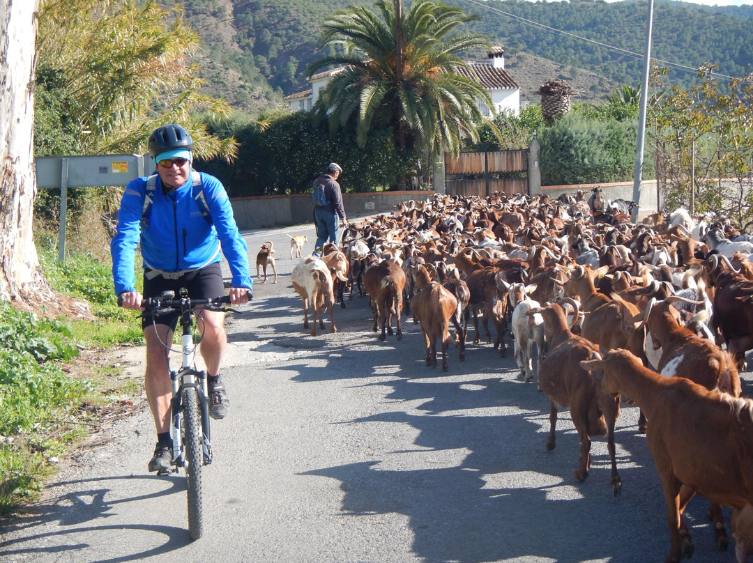 Centro Ciclismo Andalucia景点图片