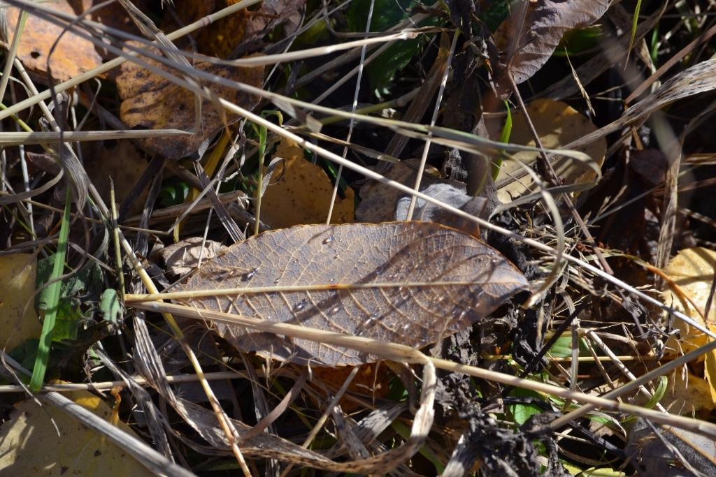 National Park Shushenskiy Bor-Shushenskoye必去景点