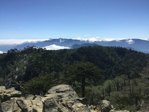 Avani Yoga Retreats-普孔必去景点