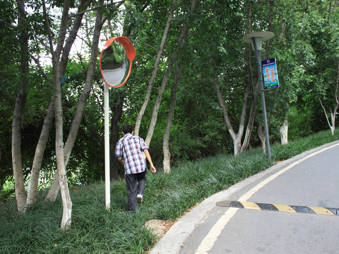 攀枝花公园-攀枝花市必去景点