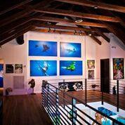 Rock House Masterpieces-基韦斯特必去景点