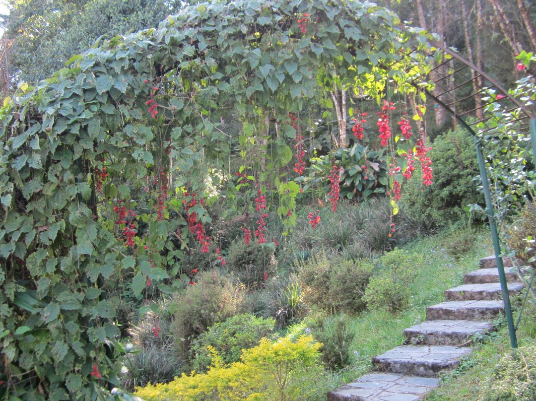 Jawaharlal Nehru Botanical Garden-甘托克必去景点