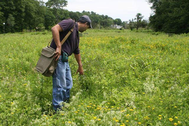 Denison Pequotsepos Nature Center-神秘河必去景点