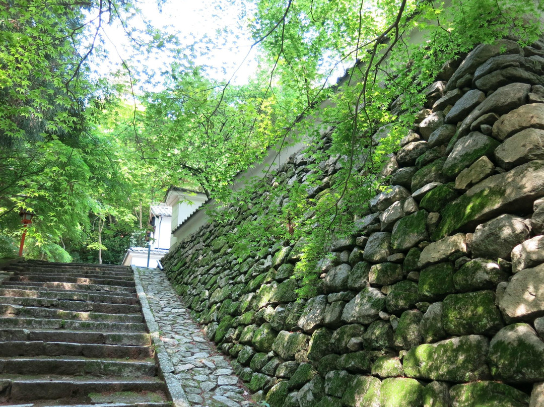 Nishiyama  Koryuji Temple-西条市必去景点