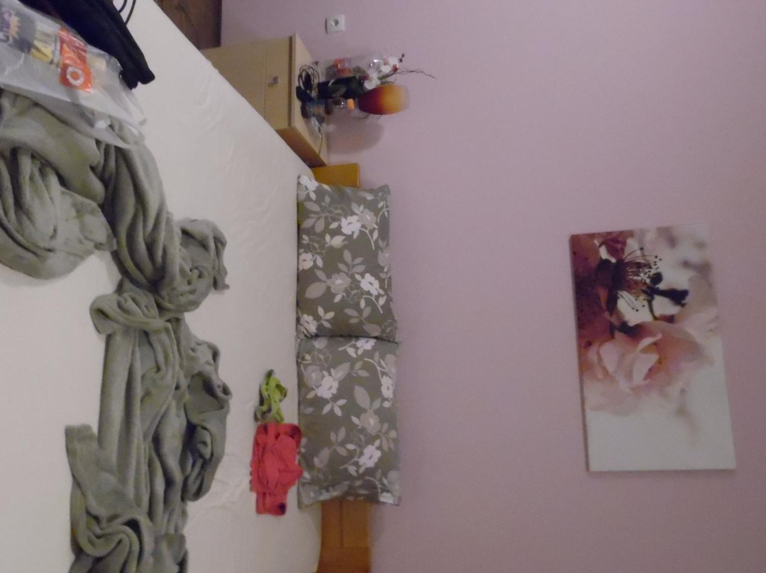 Bed & Breakfast Zmajevo Gnezdo 021主图