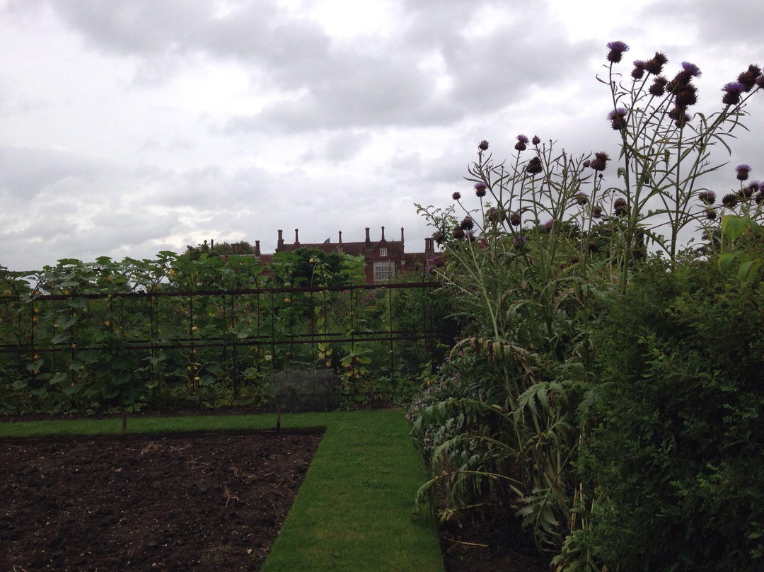 Helmingham Hall Gardens景点图片