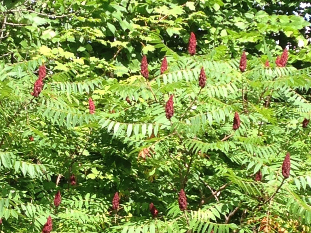 Hudson Village Theatre-Hudson必去景点