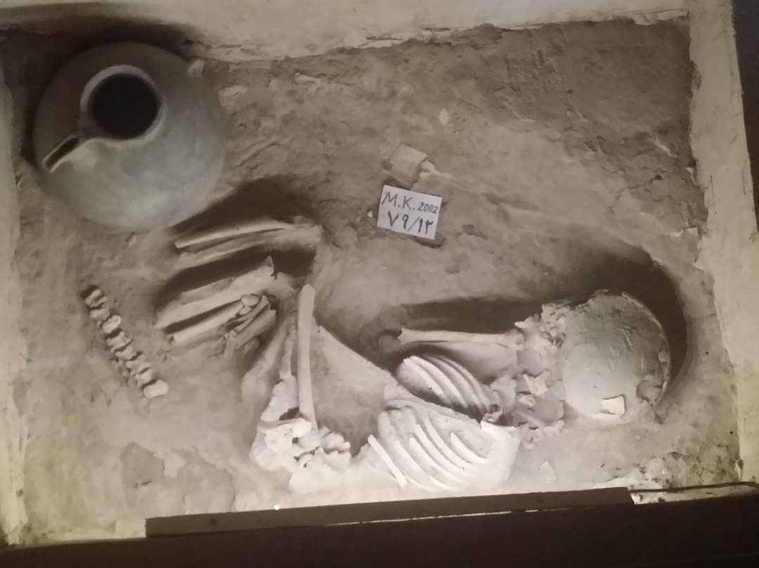Iron Age Museum-Tabriz必去景点