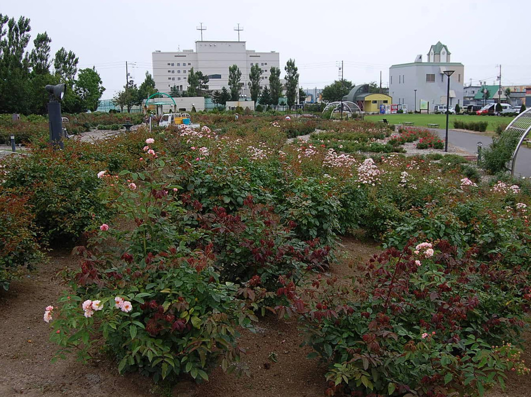 Haboro Rose Garden-羽幌町必去景点