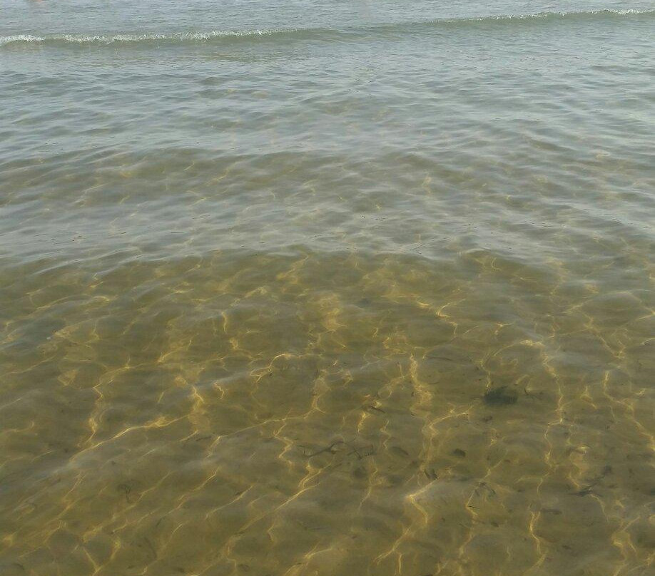 Spiaggia Mollarella景点图片