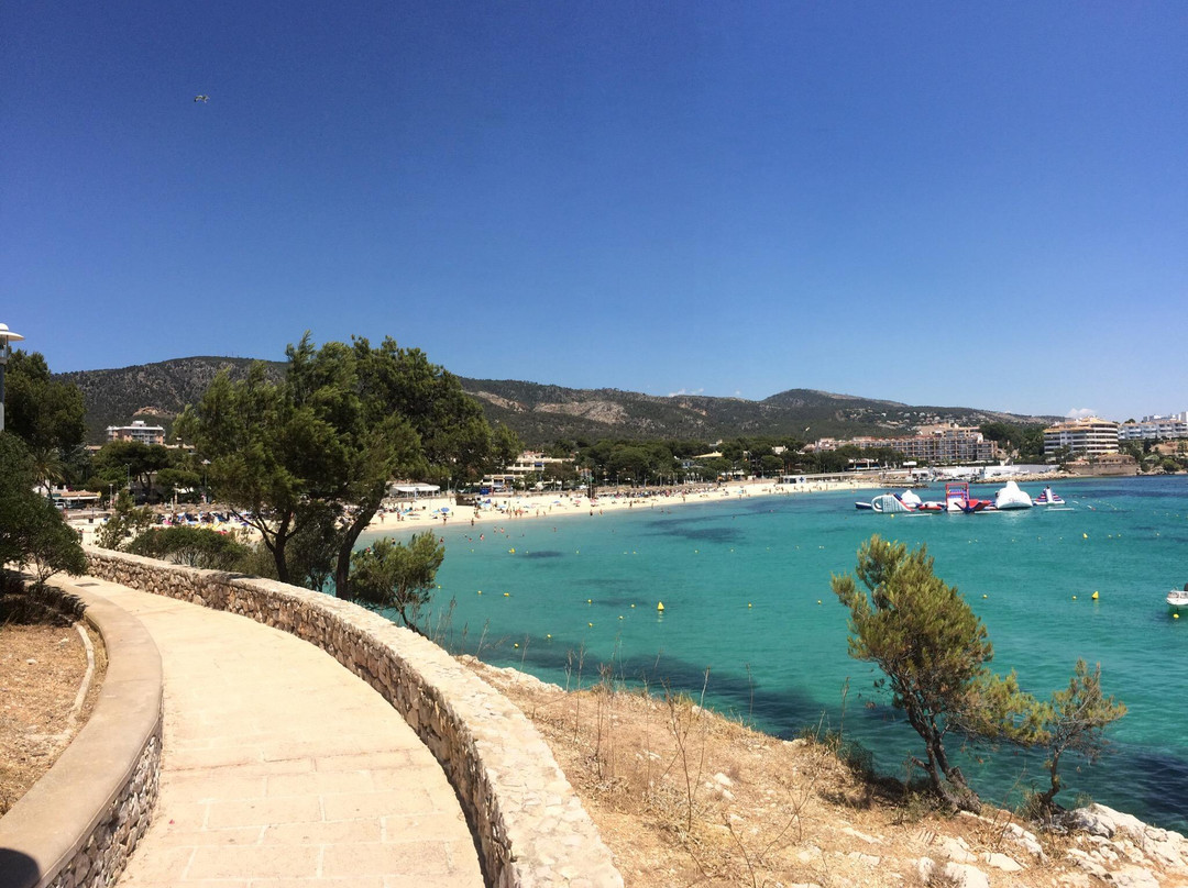 Ruta Palmanova - Magaluf-卡尔维亚必去景点