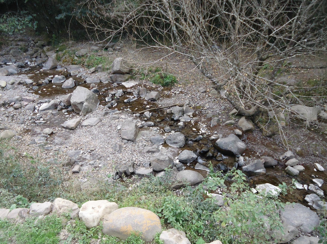 Reserva del Huaico-圣洛伦索必去景点