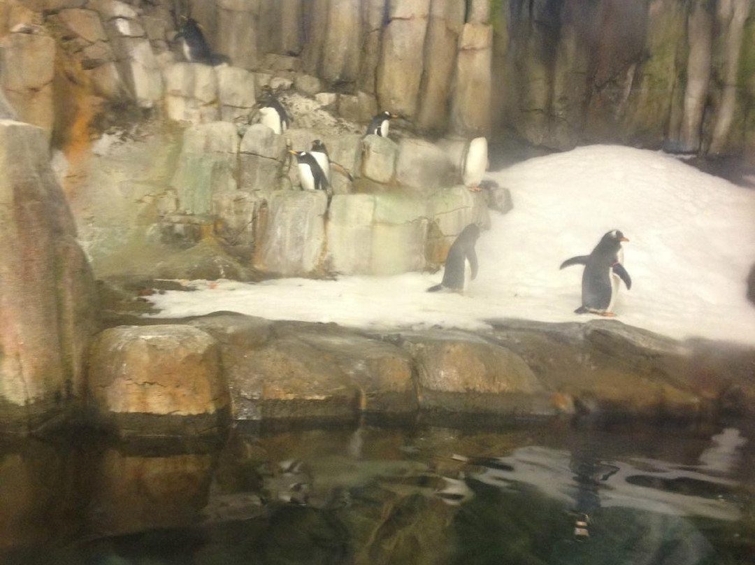 蒙特利尔自然生态博物馆-蒙特利尔必去景点