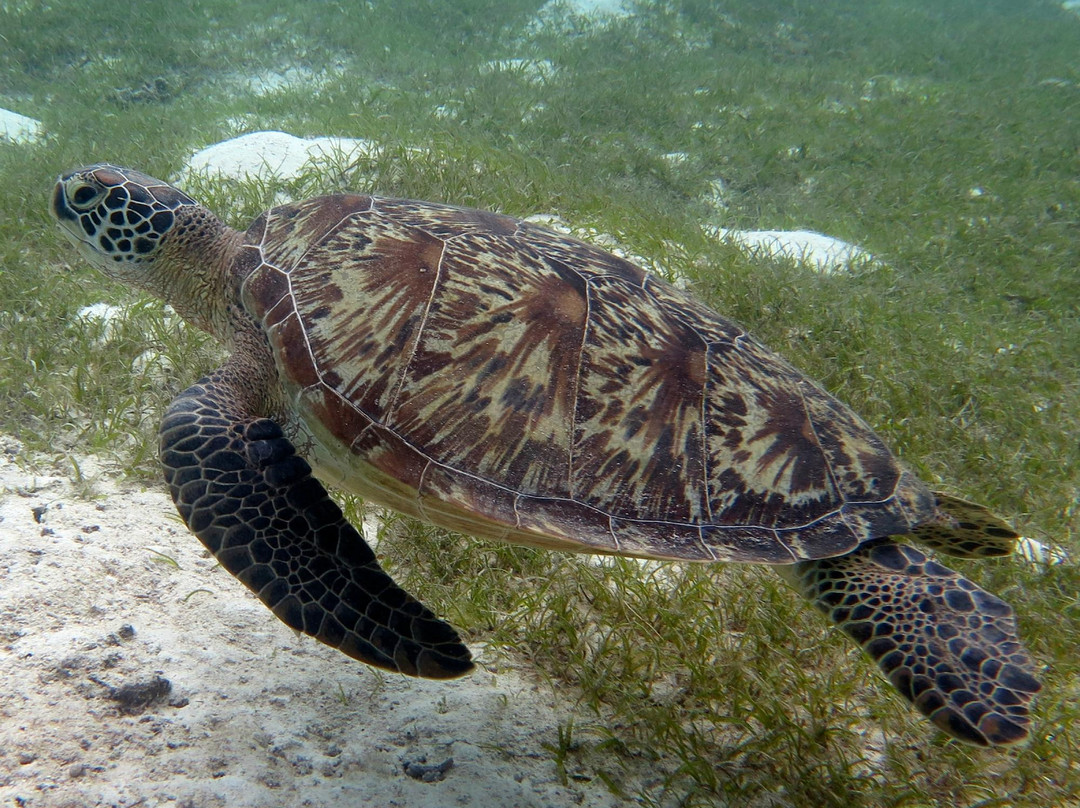 Explor'Aqua-塔拉瓦环礁必去景点