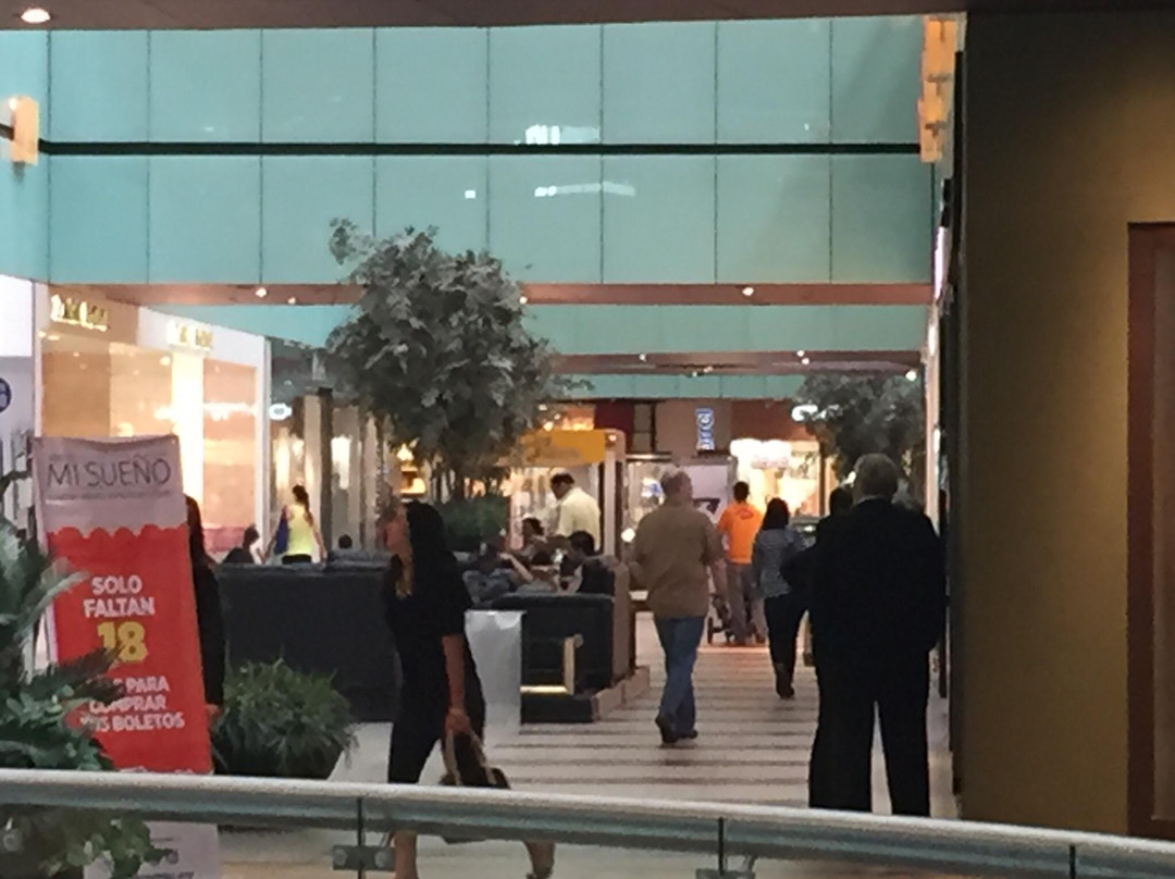 Paseo San Pedro Centro Comercial景点图片