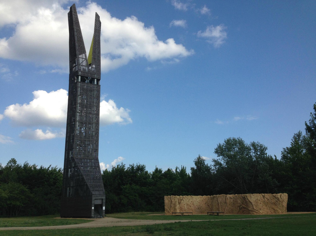 Weilbacher Kiesgruben-Florsheim必去景点