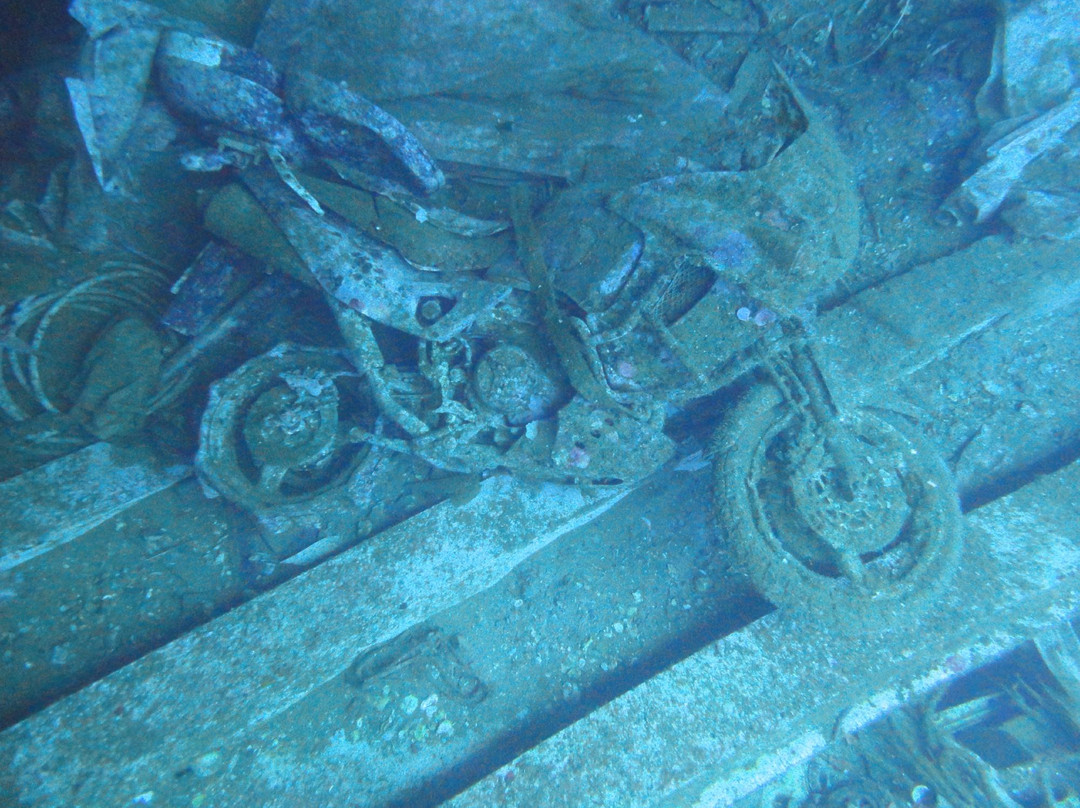 Dive Blue Dream-Agioi Anargyroi必去景点