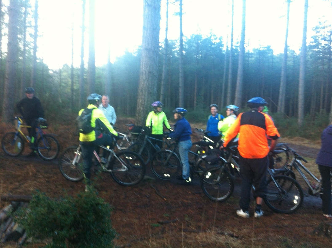 New Forest Cycling Guide景点图片