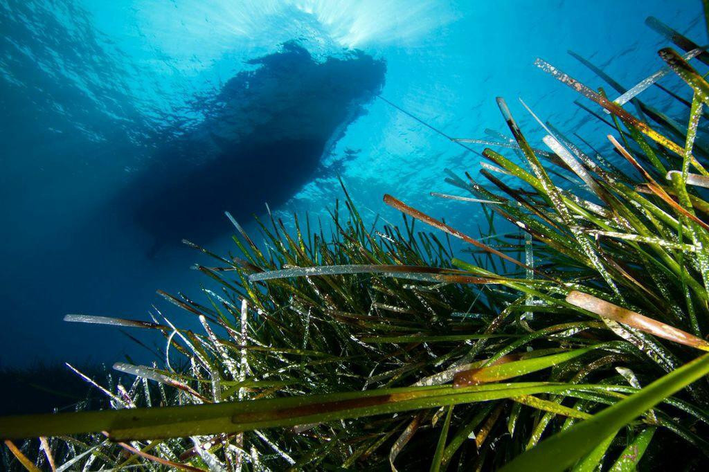 Crest Dive Centre-利马索尔必去景点