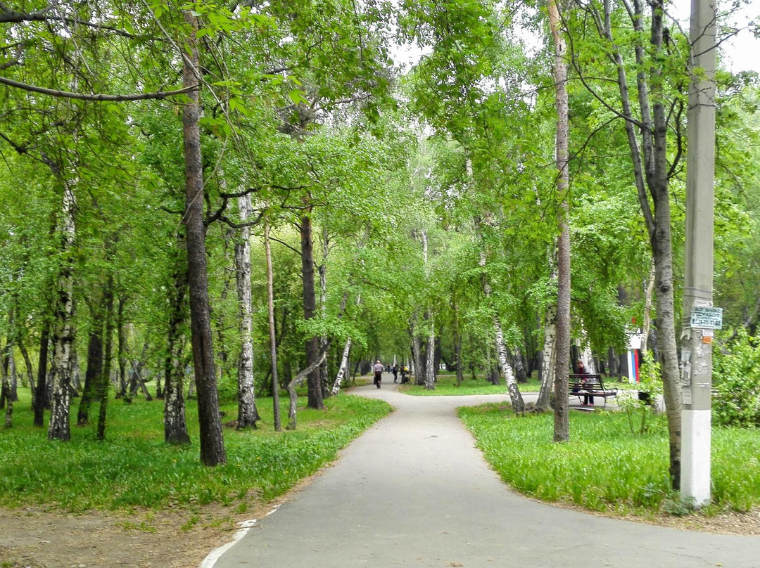 Molodyozhnaya Wood-伊尔库茨克必去景点