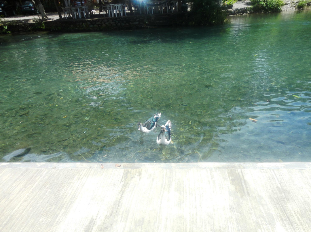 Balneario Agua Fria景点图片