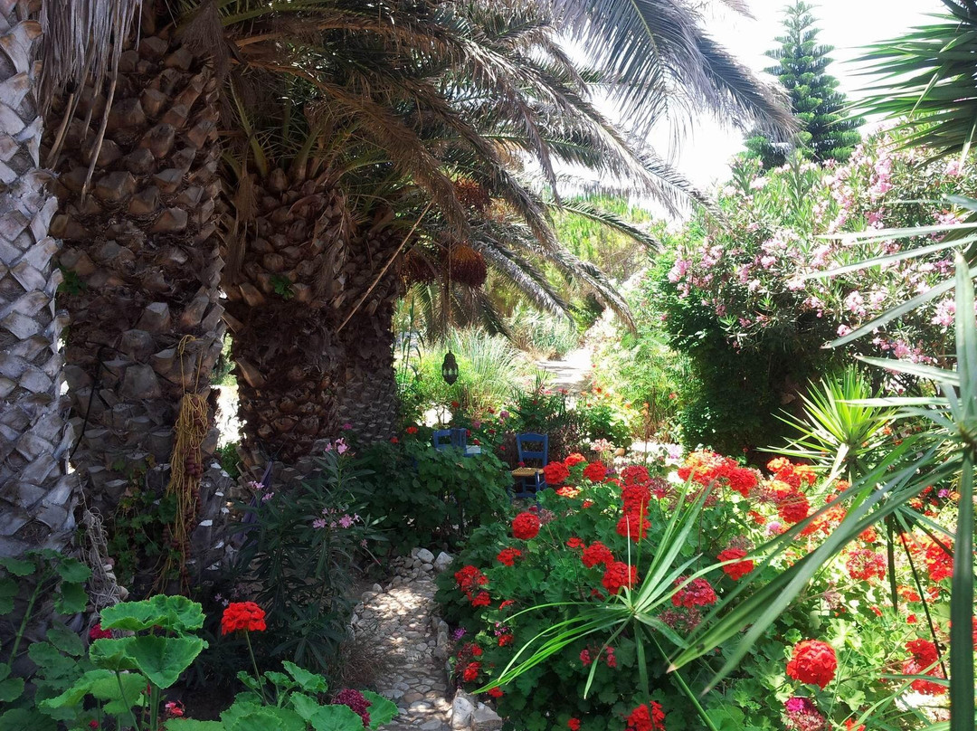 Donousa酒店住宿-O Kipos Guesthouse