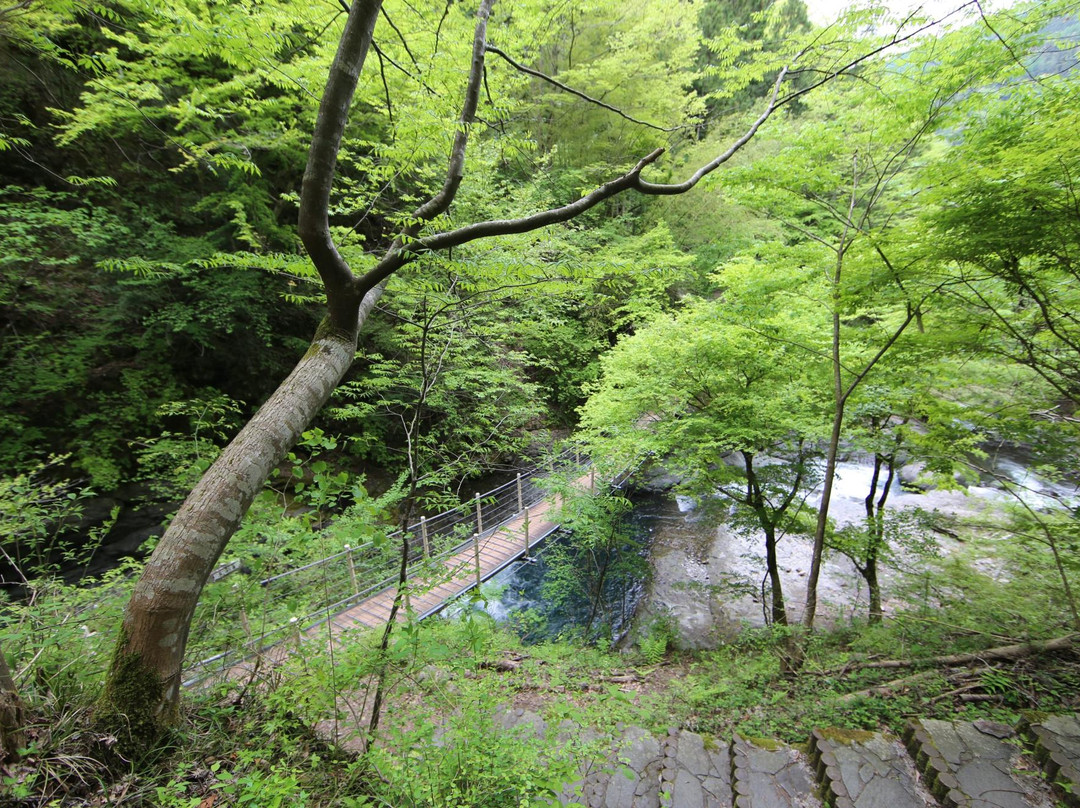 Oyanagawa Promenade景点图片