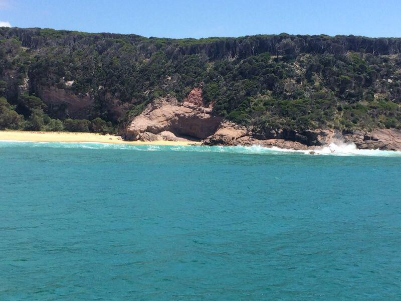 GoWhaleWatching Merimbula-梅林布拉必去景点