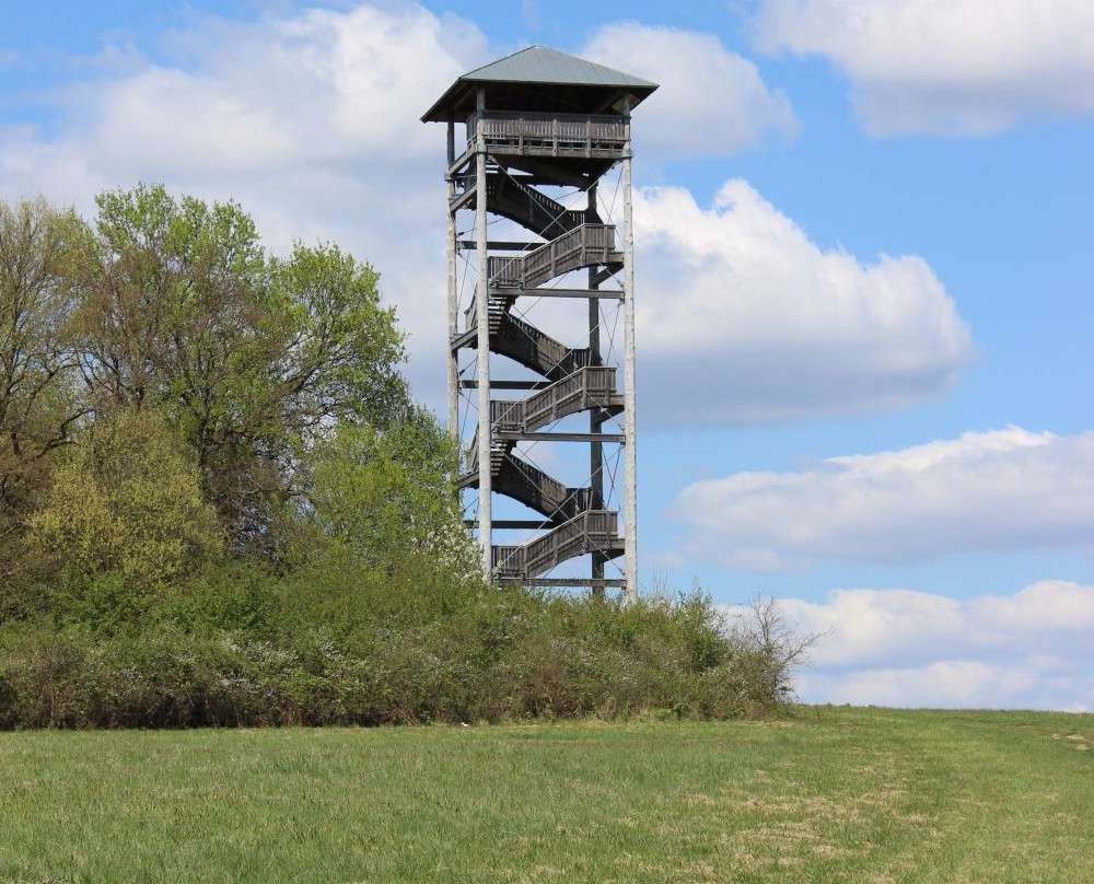 Heimbergturm景点图片