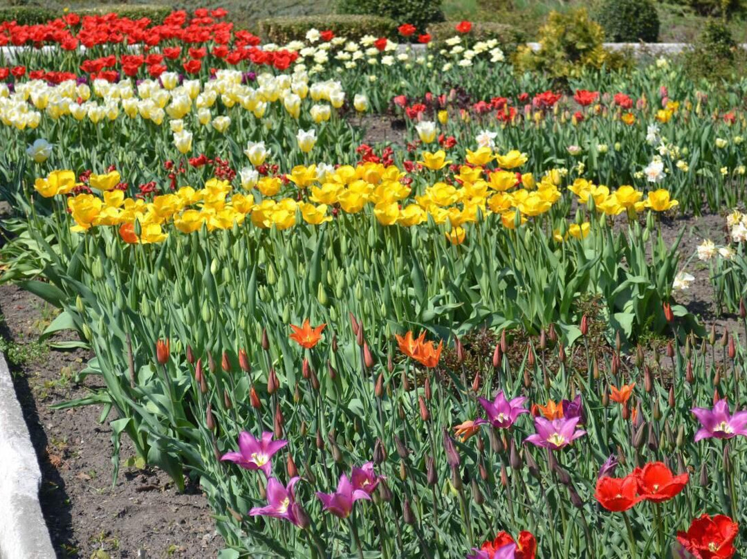 Zaporizhzhya City Children Botanic Gardens-Zaporizhzhya必去景点