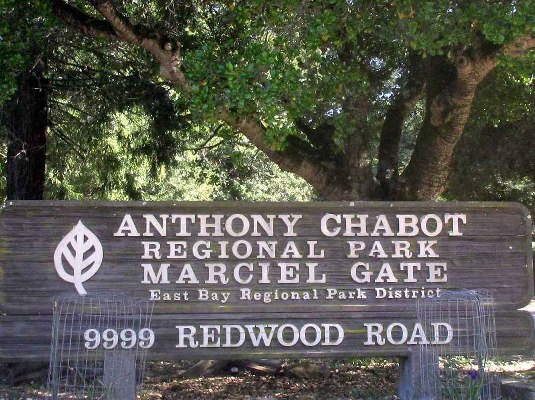 Anthony Chabot Regional Park景点图片