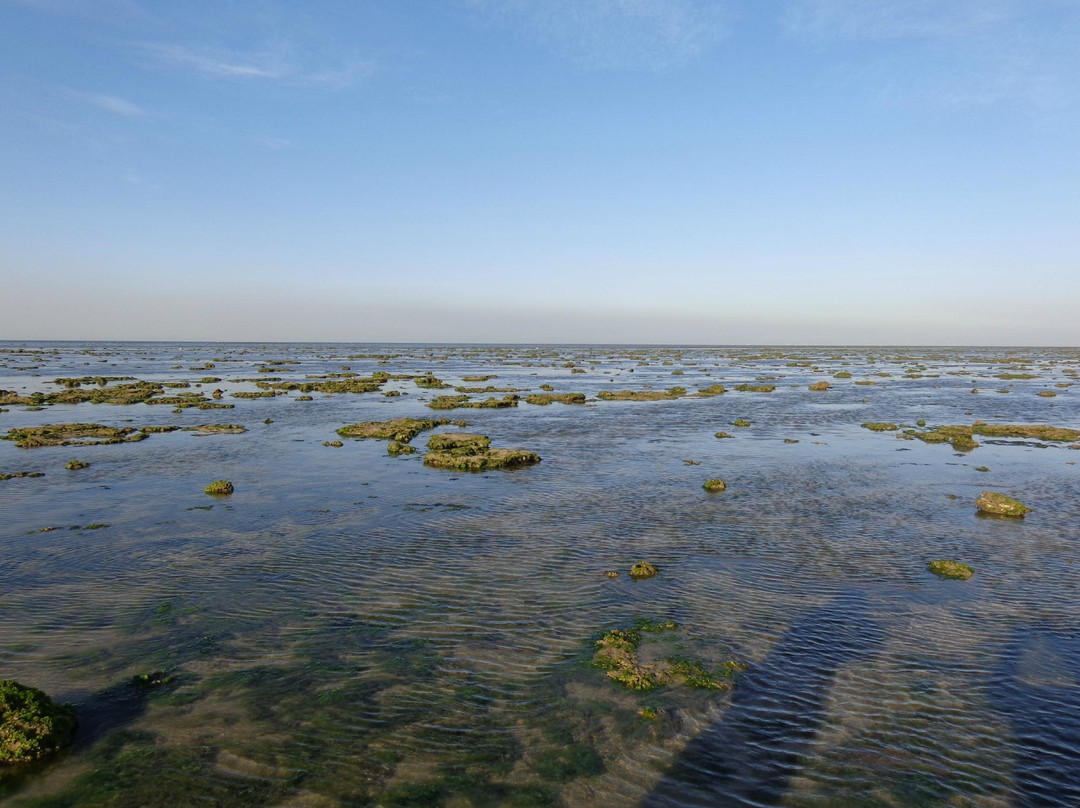 Narara Marine National Park景点图片