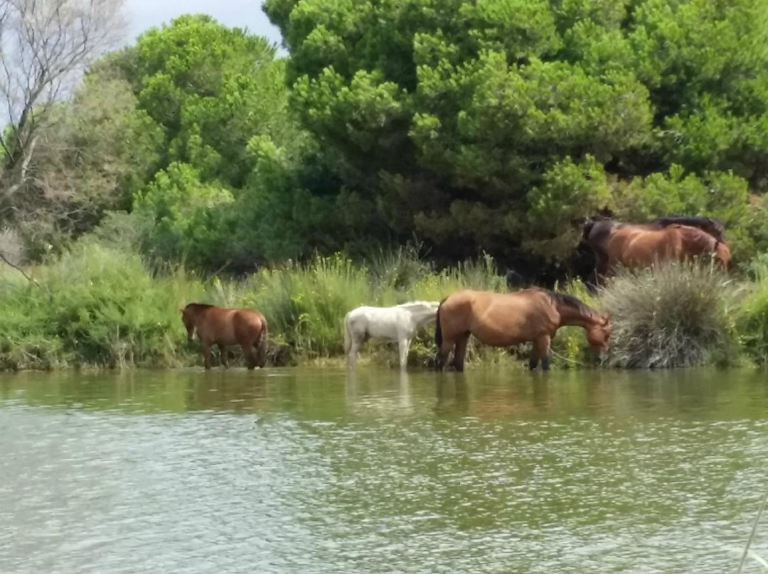 El Remolar-Filipines-比拉德坎斯必去景点