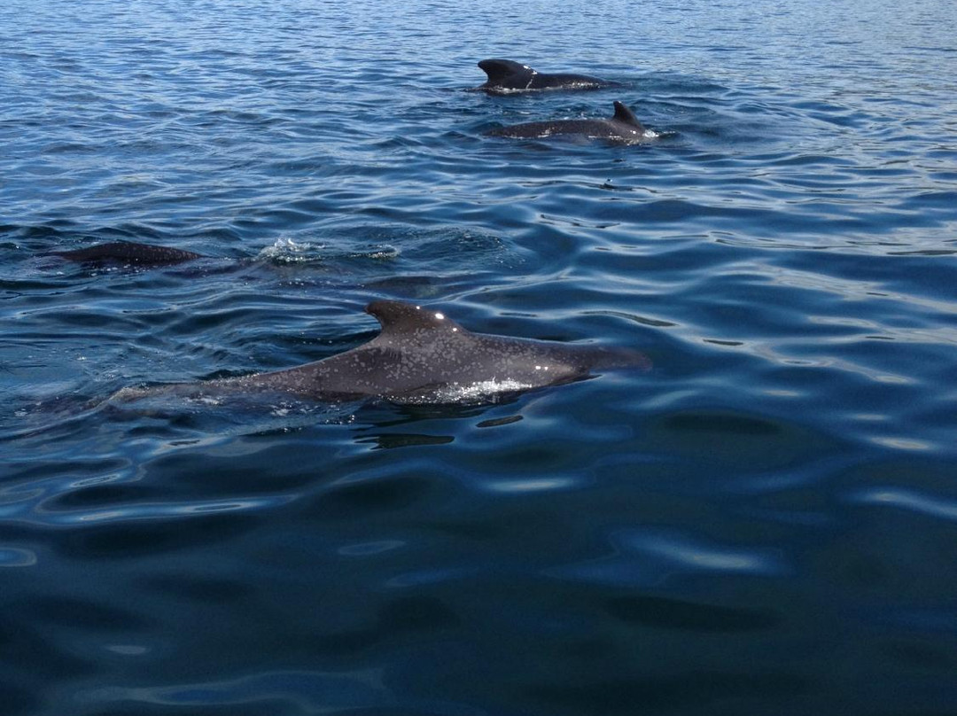 Eagle Eye Outfitters-Inverness必去景点